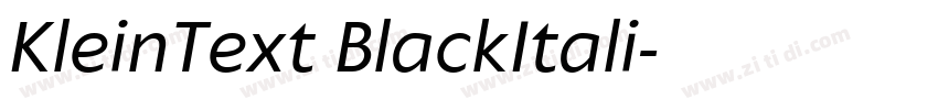 KleinText BlackItali字体转换